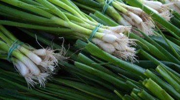 Green Onion Shortage